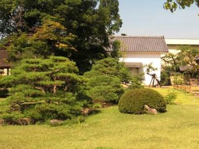 説明: 八ヶ岳・長野 045