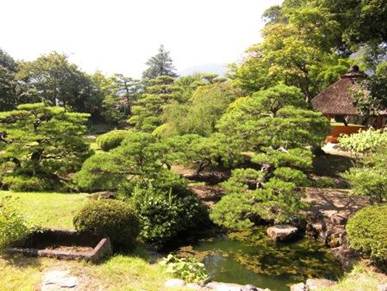 説明: 八ヶ岳・長野 029
