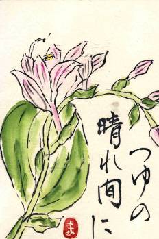 Image0007